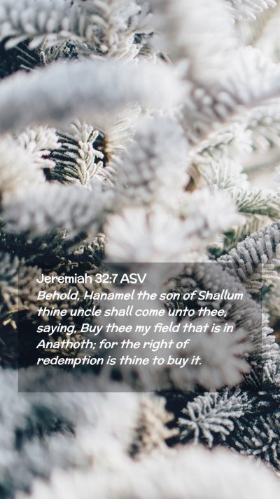 Picture 02 - Jeremiah 32:7 ASV Mobile Phone Wallpaper - Behold, Hanamel the son of Shallum thine uncle - Mobile Bible Verse Wallpaper