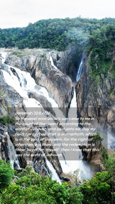 Picture 02 - Jeremiah 32:8 ASV Mobile Phone Wallpaper - So Hanamel mine uncle's son came to me in the - Mobile Bible Verse Wallpaper
