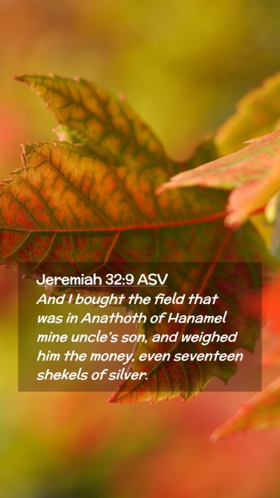 Picture 02 - Jeremiah 32:9 ASV Mobile Phone Wallpaper - And I bought the field that was in Anathoth of - Mobile Bible Verse Wallpaper