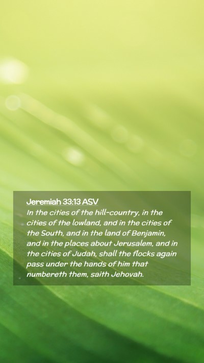Picture 02 - Jeremiah 33:13 ASV Mobile Phone Wallpaper - In the cities of the hill-country, in the cities - Mobile Bible Verse Wallpaper