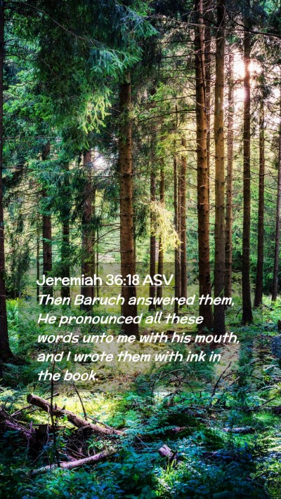 Picture 02 - Jeremiah 36:18 ASV Mobile Phone Wallpaper - Then Baruch answered them, He pronounced all - Mobile Bible Verse Wallpaper