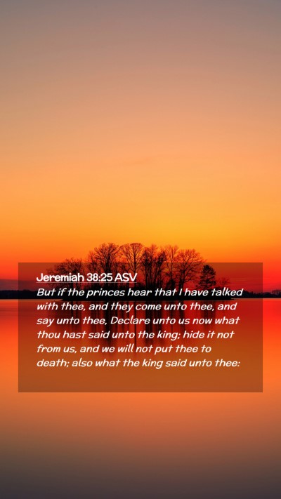 Picture 02 - Jeremiah 38:25 ASV Mobile Phone Wallpaper - But if the princes hear that I have talked with - Mobile Bible Verse Wallpaper