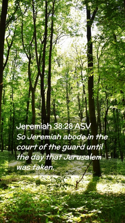 Picture 02 - Jeremiah 38:28 ASV Mobile Phone Wallpaper - So Jeremiah abode in the court of the guard until - Mobile Bible Verse Wallpaper