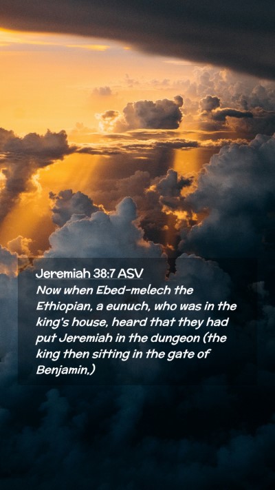 Picture 02 - Jeremiah 38:7 ASV Mobile Phone Wallpaper - Now when Ebed-melech the Ethiopian, a eunuch, who - Mobile Bible Verse Wallpaper