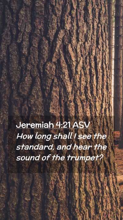 Picture 02 - Jeremiah 4:21 ASV Mobile Phone Wallpaper - How long shall I see the standard, and hear the - Mobile Bible Verse Wallpaper