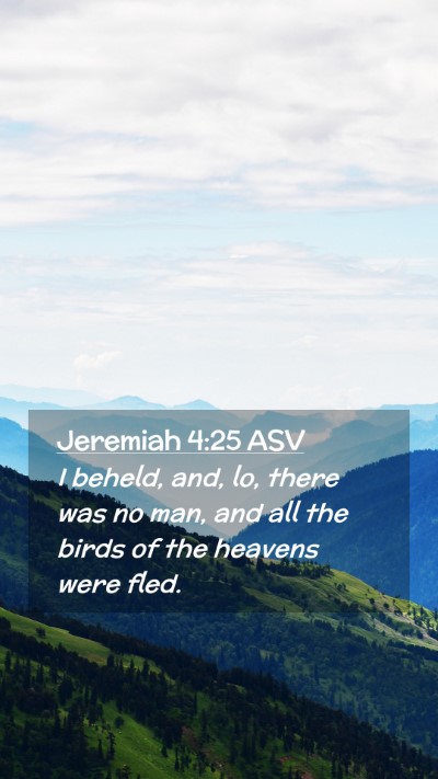 Picture 02 - Jeremiah 4:25 ASV Mobile Phone Wallpaper - I beheld, and, lo, there was no man, and all the - Mobile Bible Verse Wallpaper
