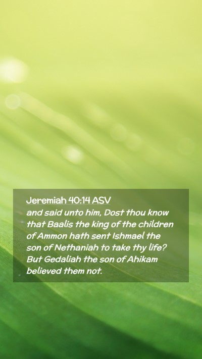 Picture 02 - Jeremiah 40:14 ASV Mobile Phone Wallpaper - and said unto him, Dost thou know that Baalis the - Mobile Bible Verse Wallpaper