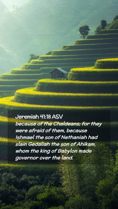 Picture 02 - Jeremiah 41:18 ASV Mobile Phone Wallpaper - because of the Chaldeans; for they were afraid of - Mobile Bible Verse Wallpaper