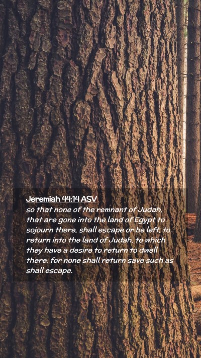 Picture 02 - Jeremiah 44:14 ASV Mobile Phone Wallpaper - so that none of the remnant of Judah, that are - Mobile Bible Verse Wallpaper