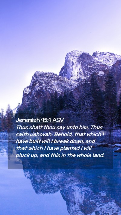 Picture 02 - Jeremiah 45:4 ASV Mobile Phone Wallpaper - Thus shalt thou say unto him, Thus saith Jehovah: - Mobile Bible Verse Wallpaper