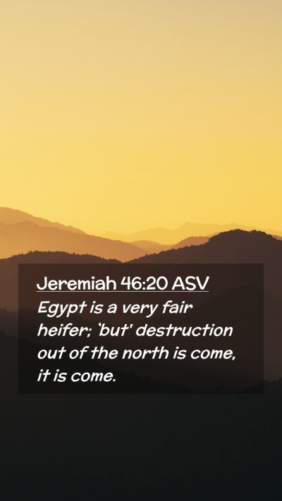 Picture 02 - Jeremiah 46:20 ASV Mobile Phone Wallpaper - Egypt is a very fair heifer; `but' destruction - Mobile Bible Verse Wallpaper