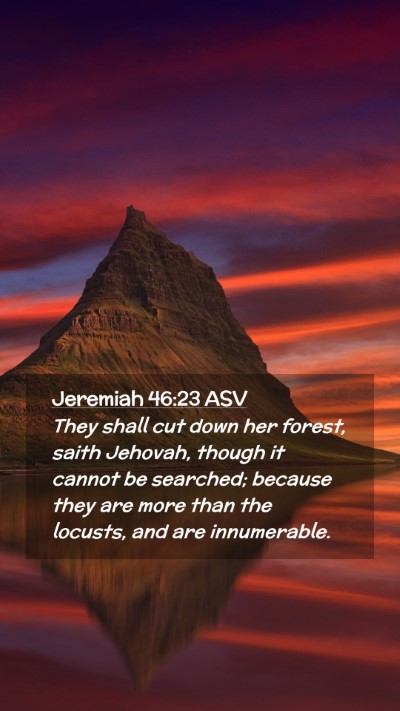Picture 02 - Jeremiah 46:23 ASV Mobile Phone Wallpaper - They shall cut down her forest, saith Jehovah, - Mobile Bible Verse Wallpaper