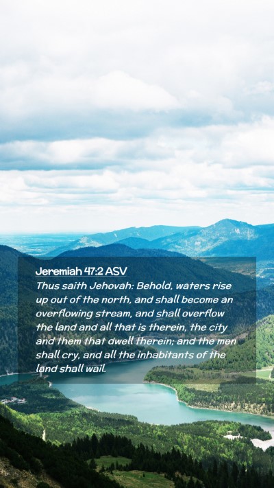 Picture 02 - Jeremiah 47:2 ASV Mobile Phone Wallpaper - Thus saith Jehovah: Behold, waters rise up out of - Mobile Bible Verse Wallpaper