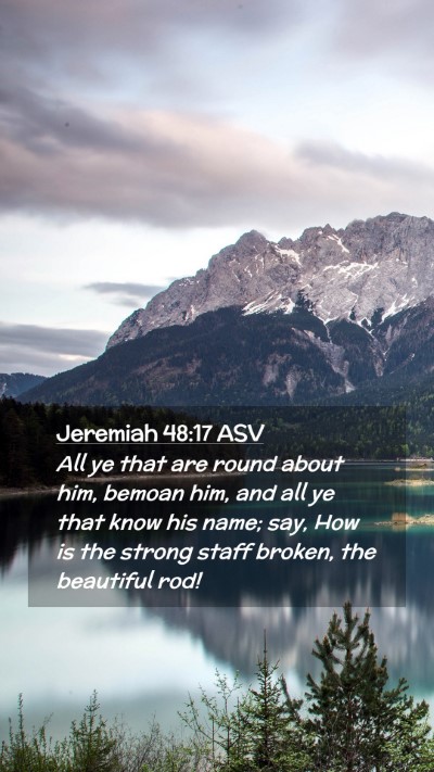 Picture 02 - Jeremiah 48:17 ASV Mobile Phone Wallpaper - All ye that are round about him, bemoan him, and - Mobile Bible Verse Wallpaper