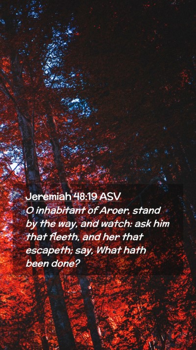 Picture 02 - Jeremiah 48:19 ASV Mobile Phone Wallpaper - O inhabitant of Aroer, stand by the way, and - Mobile Bible Verse Wallpaper