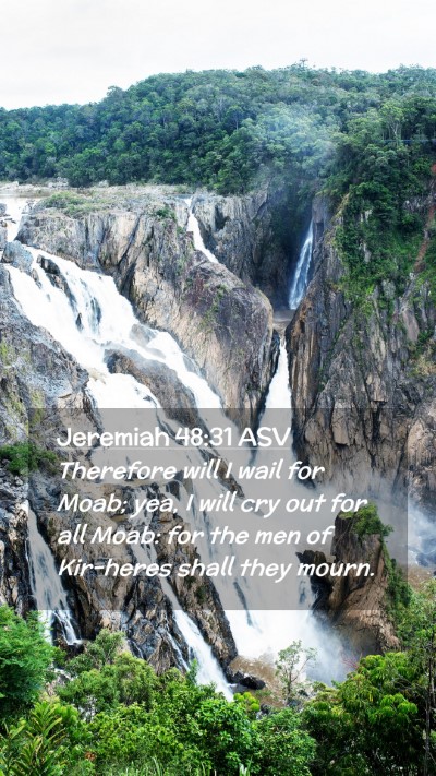 Picture 02 - Jeremiah 48:31 ASV Mobile Phone Wallpaper - Therefore will I wail for Moab; yea, I will cry - Mobile Bible Verse Wallpaper