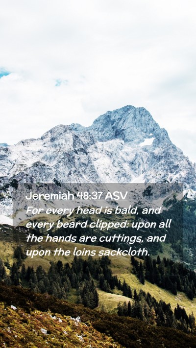 Picture 02 - Jeremiah 48:37 ASV Mobile Phone Wallpaper - For every head is bald, and every beard clipped: - Mobile Bible Verse Wallpaper