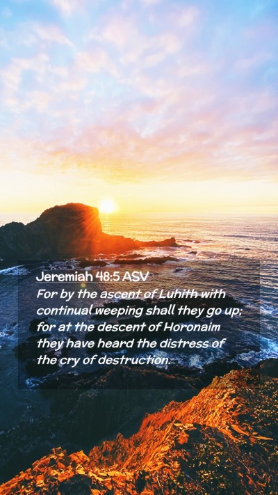 Picture 02 - Jeremiah 48:5 ASV Mobile Phone Wallpaper - For by the ascent of Luhith with continual - Mobile Bible Verse Wallpaper