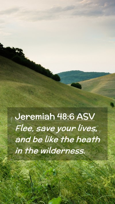 Picture 02 - Jeremiah 48:6 ASV Mobile Phone Wallpaper - Flee, save your lives, and be like the heath in - Mobile Bible Verse Wallpaper