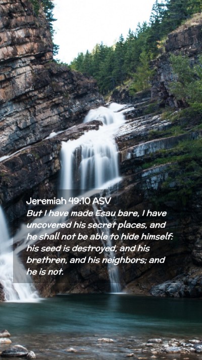 Picture 02 - Jeremiah 49:10 ASV Mobile Phone Wallpaper - But I have made Esau bare, I have uncovered his - Mobile Bible Verse Wallpaper
