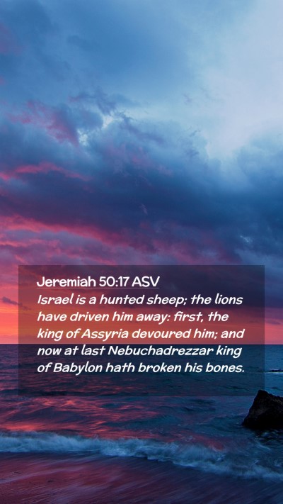 Picture 02 - Jeremiah 50:17 ASV Mobile Phone Wallpaper - Israel is a hunted sheep; the lions have driven - Mobile Bible Verse Wallpaper