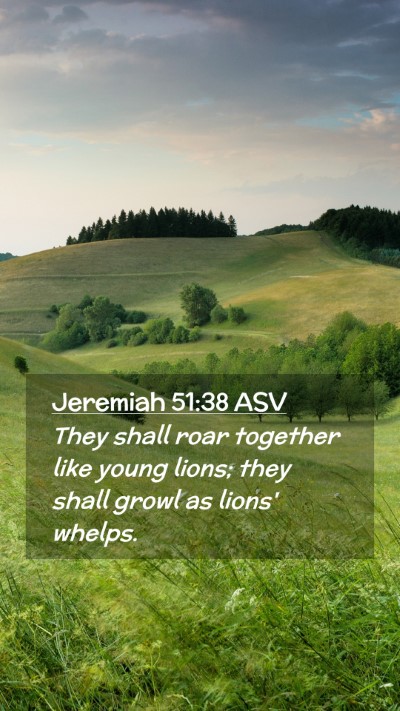 Picture 02 - Jeremiah 51:38 ASV Mobile Phone Wallpaper - They shall roar together like young lions; they - Mobile Bible Verse Wallpaper