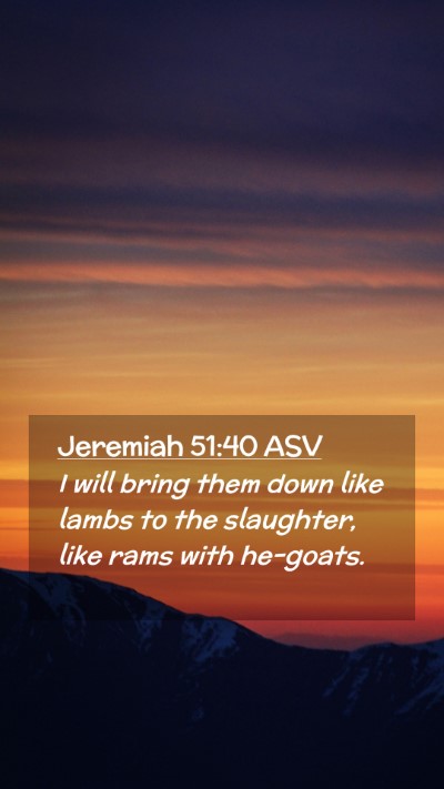 Picture 02 - Jeremiah 51:40 ASV Mobile Phone Wallpaper - I will bring them down like lambs to the - Mobile Bible Verse Wallpaper