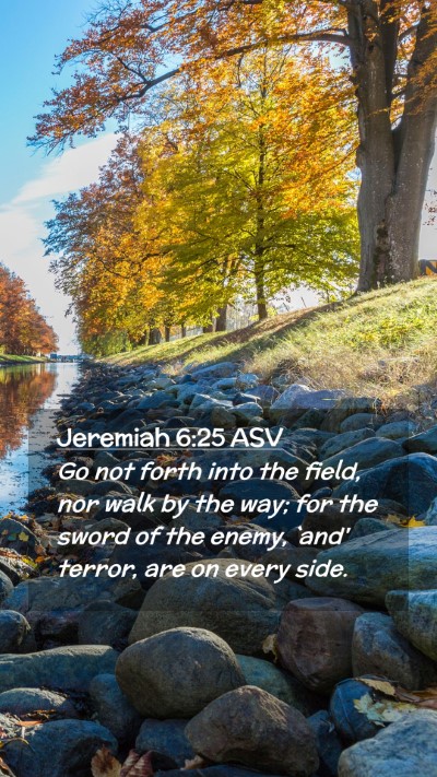 Picture 02 - Jeremiah 6:25 ASV Mobile Phone Wallpaper - Go not forth into the field, nor walk by the way; - Mobile Bible Verse Wallpaper