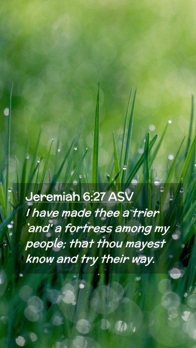 Picture 02 - Jeremiah 6:27 ASV Mobile Phone Wallpaper - I have made thee a trier `and' a fortress among - Mobile Bible Verse Wallpaper