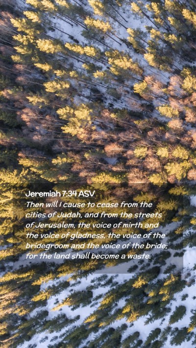 Picture 02 - Jeremiah 7:34 ASV Mobile Phone Wallpaper - Then will I cause to cease from the cities of - Mobile Bible Verse Wallpaper