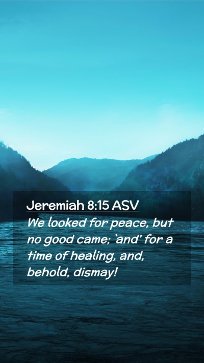 Picture 02 - Jeremiah 8:15 ASV Mobile Phone Wallpaper - We looked for peace, but no good came; `and' for - Mobile Bible Verse Wallpaper