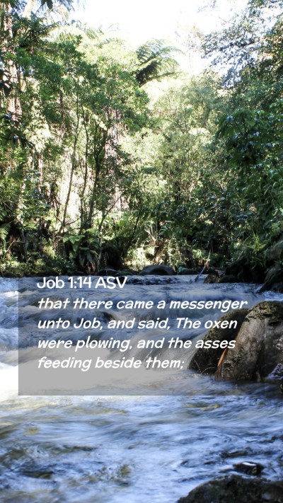 Picture 02 - Job 1:14 ASV Mobile Phone Wallpaper - that there came a messenger unto Job, and said, - Mobile Bible Verse Wallpaper