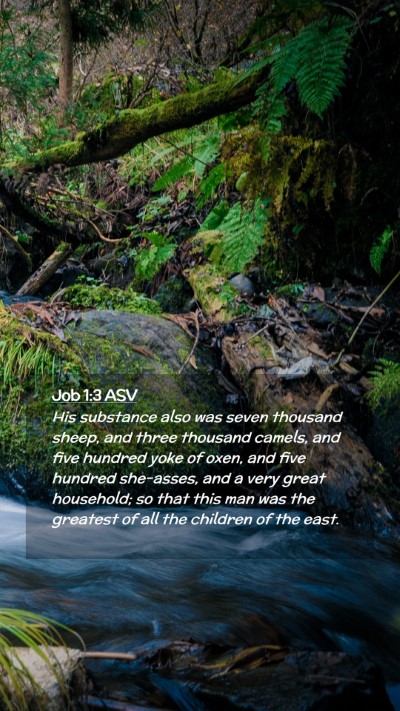 Picture 02 - Job 1:3 ASV Mobile Phone Wallpaper - His substance also was seven thousand sheep, and - Mobile Bible Verse Wallpaper