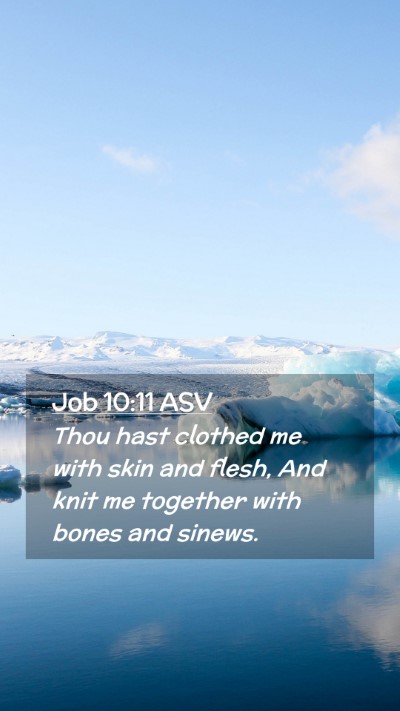 Picture 02 - Job 10:11 ASV Mobile Phone Wallpaper - Thou hast clothed me with skin and flesh, And - Mobile Bible Verse Wallpaper