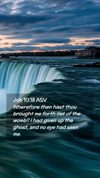Picture 02 - Job 10:18 ASV Mobile Phone Wallpaper - Wherefore then hast thou brought me forth out of - Mobile Bible Verse Wallpaper