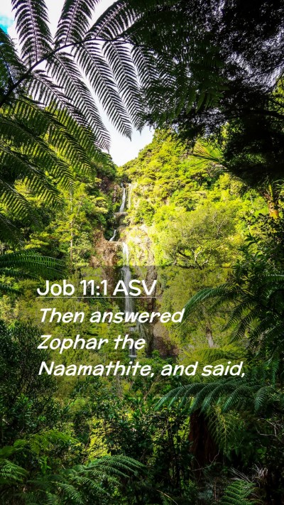 Picture 02 - Job 11:1 ASV Mobile Phone Wallpaper - Then answered Zophar the Naamathite, and - Mobile Bible Verse Wallpaper