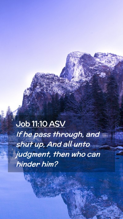 Picture 02 - Job 11:10 ASV Mobile Phone Wallpaper - If he pass through, and shut up, And all unto - Mobile Bible Verse Wallpaper