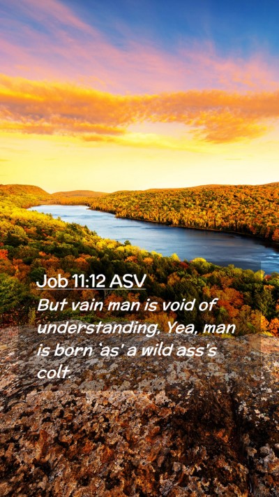Picture 02 - Job 11:12 ASV Mobile Phone Wallpaper - But vain man is void of understanding, Yea, man - Mobile Bible Verse Wallpaper