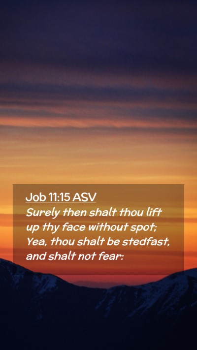 Picture 02 - Job 11:15 ASV Mobile Phone Wallpaper - Surely then shalt thou lift up thy face without - Mobile Bible Verse Wallpaper