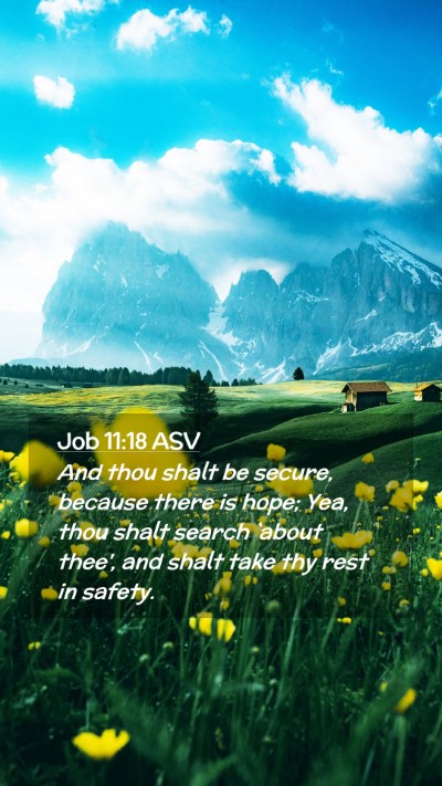 Picture 02 - Job 11:18 ASV Mobile Phone Wallpaper - And thou shalt be secure, because there is hope; - Mobile Bible Verse Wallpaper
