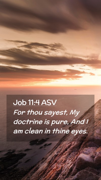 Picture 02 - Job 11:4 ASV Mobile Phone Wallpaper - For thou sayest, My doctrine is pure, And I am - Mobile Bible Verse Wallpaper