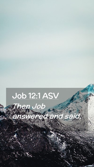 Picture 02 - Job 12:1 ASV Mobile Phone Wallpaper - Then Job answered and - Mobile Bible Verse Wallpaper
