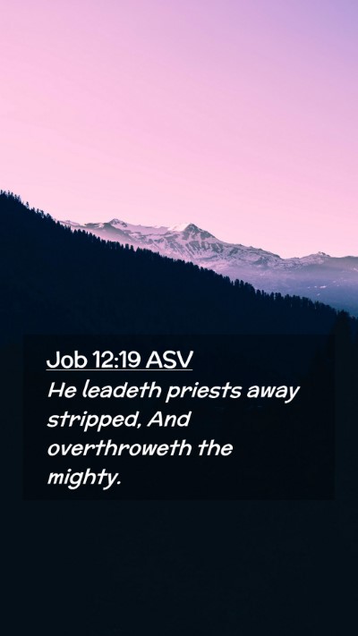 Picture 02 - Job 12:19 ASV Mobile Phone Wallpaper - He leadeth priests away stripped, And - Mobile Bible Verse Wallpaper