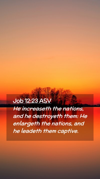Picture 02 - Job 12:23 ASV Mobile Phone Wallpaper - He increaseth the nations, and he destroyeth - Mobile Bible Verse Wallpaper