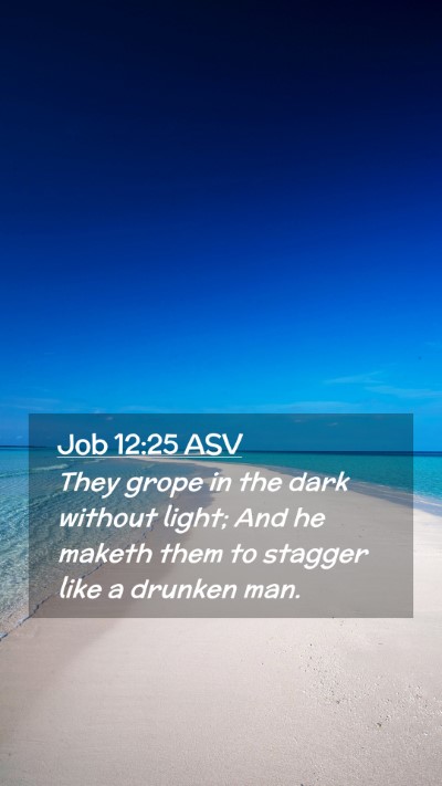 Picture 02 - Job 12:25 ASV Mobile Phone Wallpaper - They grope in the dark without light; And he - Mobile Bible Verse Wallpaper