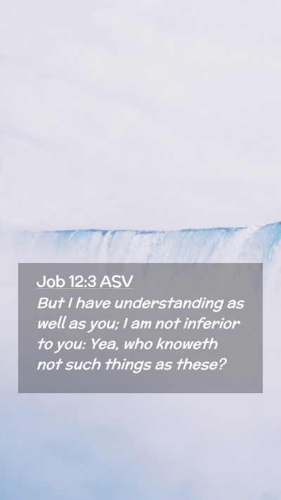 Picture 02 - Job 12:3 ASV Mobile Phone Wallpaper - But I have understanding as well as you; I am not - Mobile Bible Verse Wallpaper