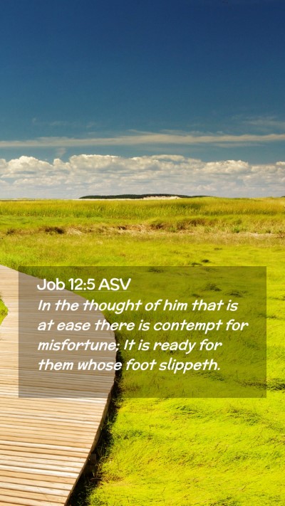 Picture 02 - Job 12:5 ASV Mobile Phone Wallpaper - In the thought of him that is at ease there is - Mobile Bible Verse Wallpaper