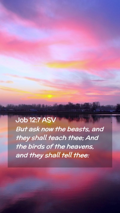 Picture 02 - Job 12:7 ASV Mobile Phone Wallpaper - But ask now the beasts, and they shall teach - Mobile Bible Verse Wallpaper