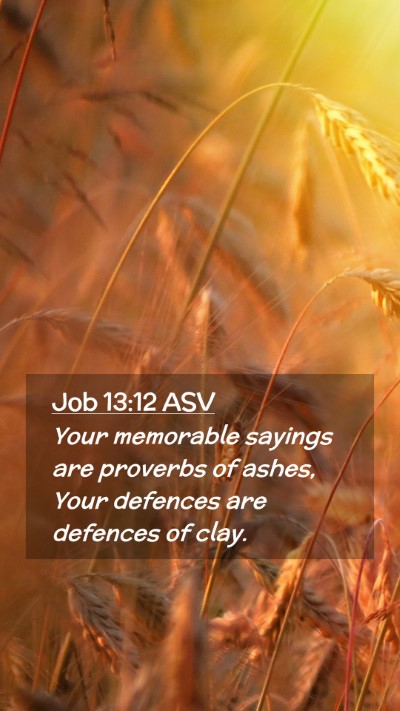 Picture 02 - Job 13:12 ASV Mobile Phone Wallpaper - Your memorable sayings are proverbs of ashes, - Mobile Bible Verse Wallpaper