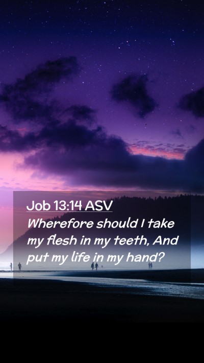 Picture 02 - Job 13:14 ASV Mobile Phone Wallpaper - Wherefore should I take my flesh in my teeth, And - Mobile Bible Verse Wallpaper